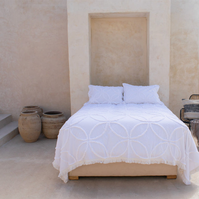 Nueva Colección La Mia Stanza